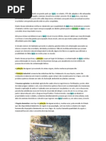 O planeta Terra é constituído em grande parte por água