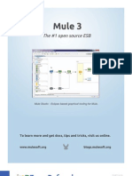 SOA-mule3_2