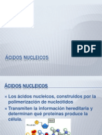 ÁCIDOS NUCLEICOS