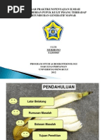 Download Pengaruh Pemberian Pupuk Kulit Buah Pisang by Murdiono Mn SN136852733 doc pdf