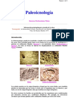 Ciencias1 Geologia Paleontologia