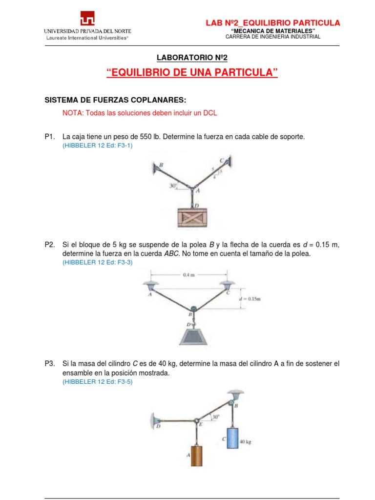 LABORATORIO Nº2 _ EQUILIBRIO DE UNA PARTICULA Sistema