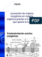 Fotofosforilacion Ciclica