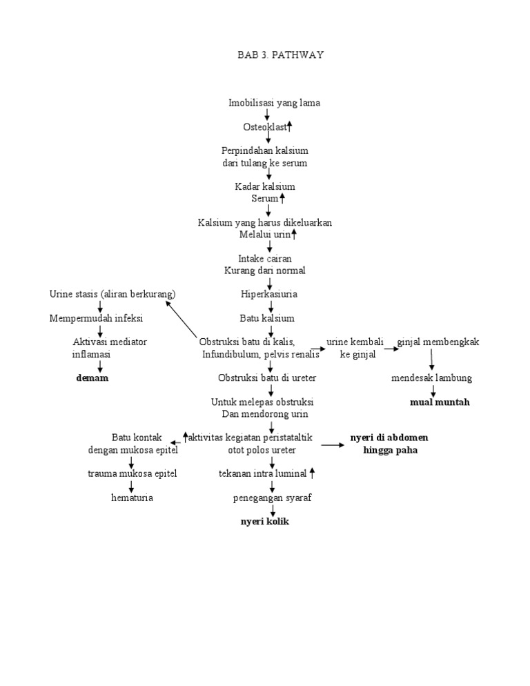 Pathway | PDF