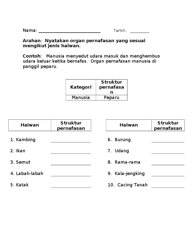 Lembaran Kerja Sains Tahun 4 Haiwan Bernafas Pdf