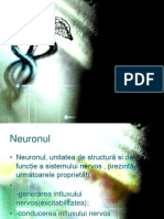 Neuronii