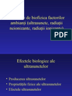 bioacustica2 