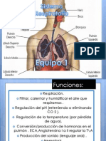 Sistema Respiratorio