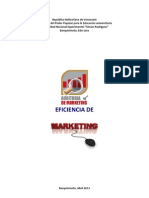 Auditoria de Marketing Eficiencia de Marketing Unidad II
