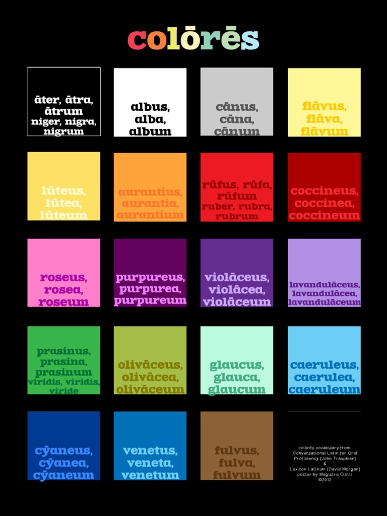 Latin Colors Poster