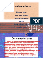 Corynebacteriacea