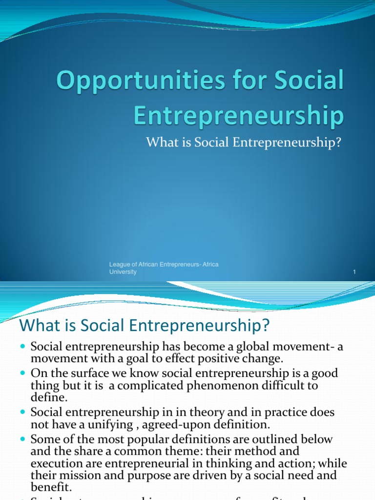 Understanding Social Entrepreneurship | PDF | Social Entrepreneurship ...