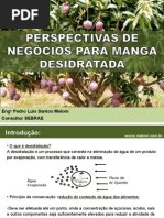 Producao de Frutas Desidratadas