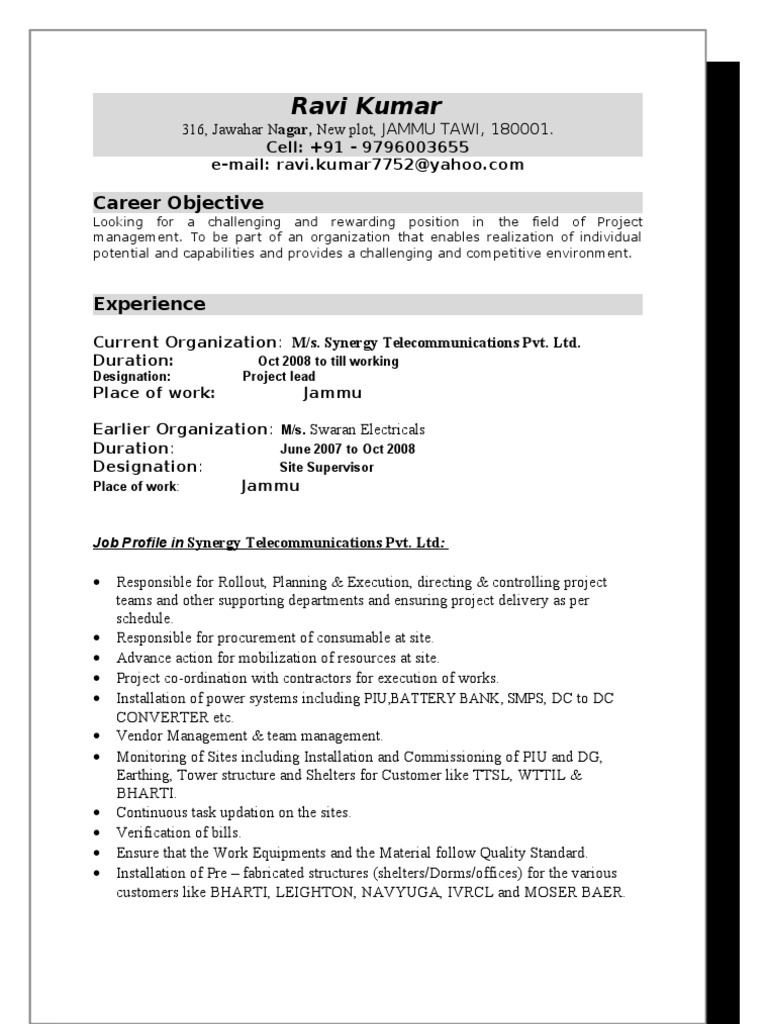 Ravi CV | PDF