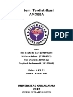 Amoeba Operating System