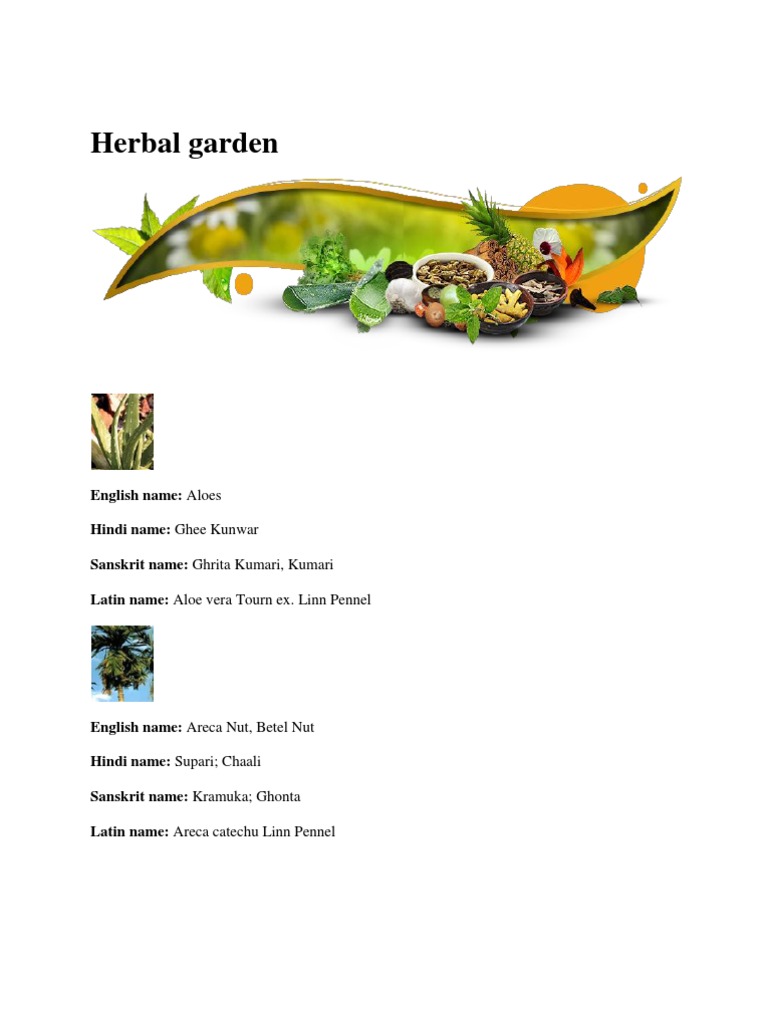 Herbal Garden Pdf Medicinal Plants Of Asia Flora
