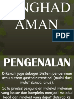 Sistem Penghadaman