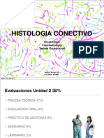 Histologia Tejido Conectivo