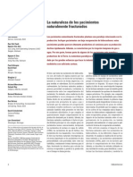 YACIMIENTOS NATURALMENTE FRACTURADOS OILFIELD REVIEW Schlumberger