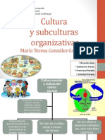 Cultura y Subculturas Organizativas