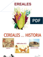 cereales proteinas