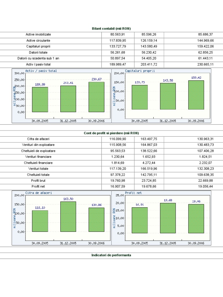 Bilant contabil Antibiotice Iasi 2023 | PDF | Finance & Money Management