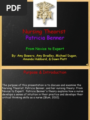 From novice to expert