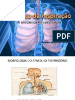 Biofísica Da Respiração