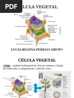 CÉLULA VEGETAL ii