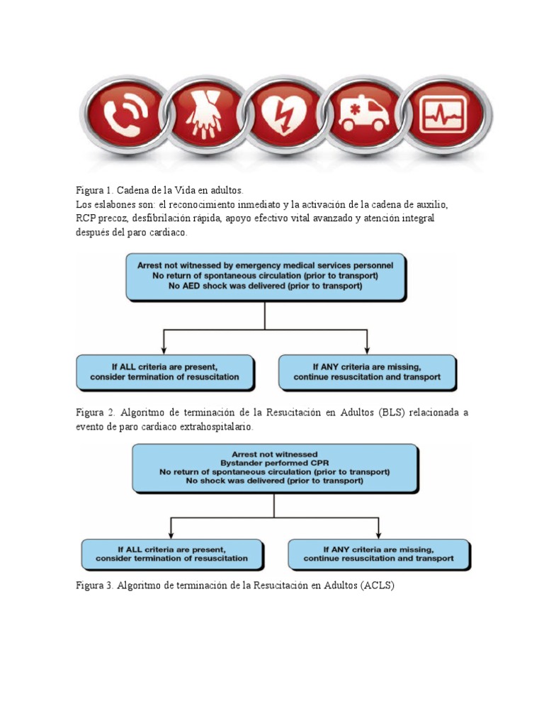 Algoritmos Bls Y Acls 2010