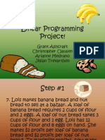 Linear Programming Project