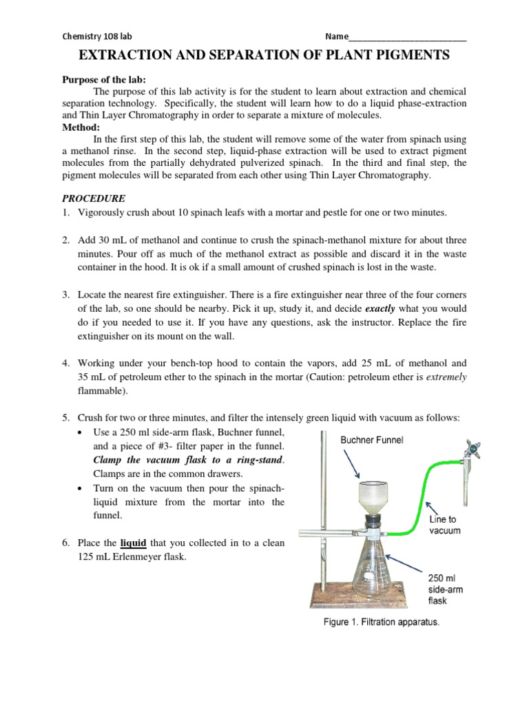 Lab 5 Lab Plant Pigments 32309 PDF Thin Layer Chromatography