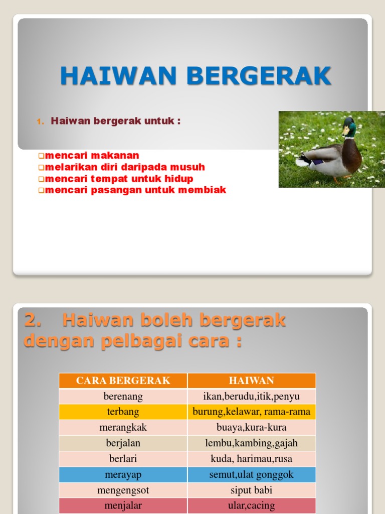Cara Haiwan Bergerak  PDF