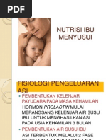 Download Nutrisi Ibu Menyusui by Michelle Nova Natalia SN137148312 doc pdf