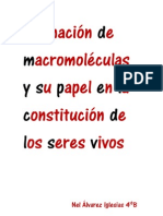 Formación de Macromoleculas y Su Papel en La Constitución de Los Seres Vivos PDF