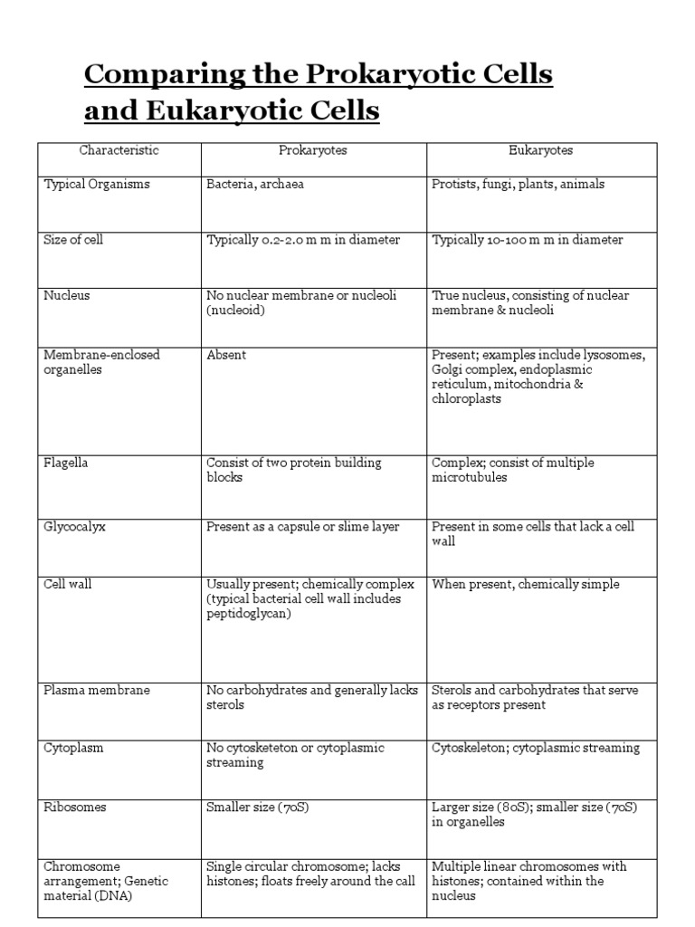 Comparing The Prokaryotic Cells And Eukaryotic Cells