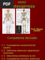 Scheletul Uman+Osteogeneza