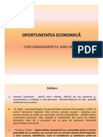 Oportunitatea Economica- Curs IMM