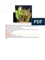 Heliamphora - Vrsta Mesojede Biljke
