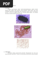 Download Identifikasi Proteus by Nyod Nyonyonyod SN137184850 doc pdf