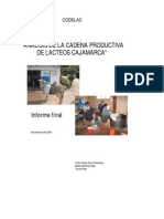 Analisis de La Cadena Productiva de Lacteos Cajamarca