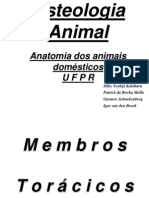 Osteologia Animal 2