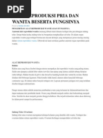 Download AlatReproduksiPriaDanWanitaBesertaFungsinyabyKevinMaulandaSN137189526 doc pdf