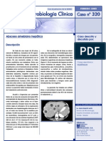 320 - Absceso Amebiano Hepático