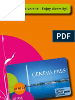 Geneva Pass Flyer