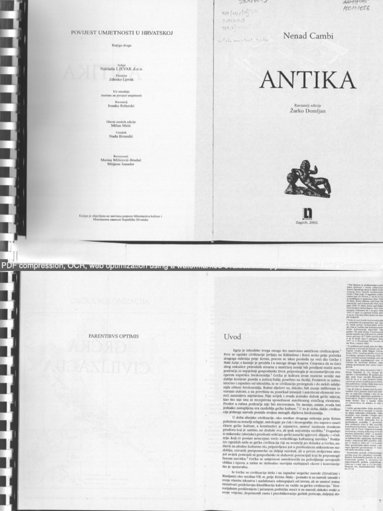 nenad cambi antika