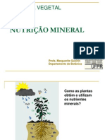 NUTRIÇÃO MINERAL.pdf