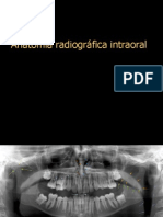 Anatomia Radiografica