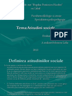 Atitudini Sociale