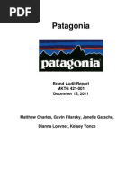 Patagonia Brand Audit